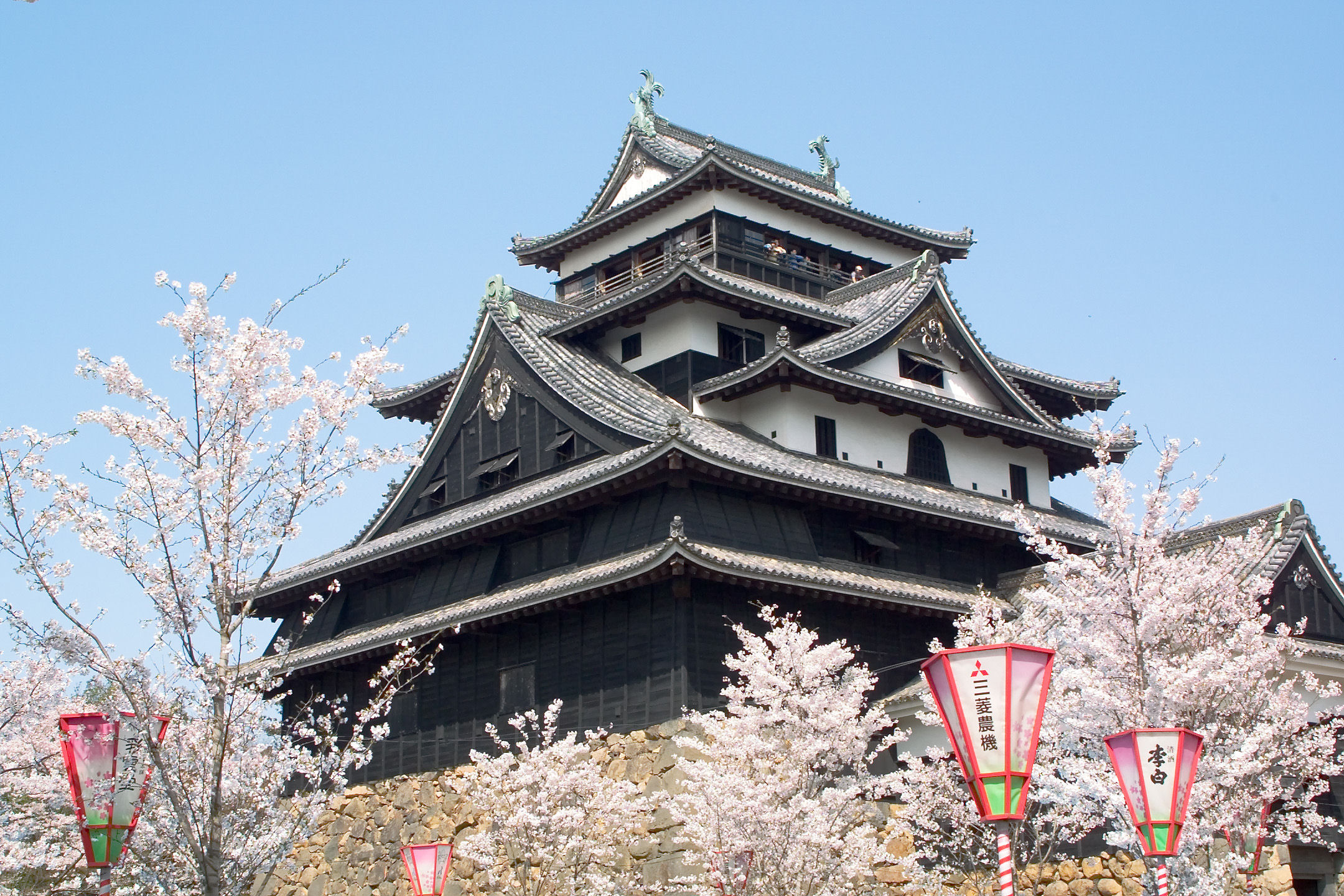 松江城の桜